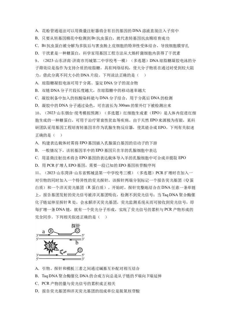 专题32基因工程（精练）（原卷版）_2024年新高考资料_1.2024一轮复习_备战2024年高考生物一轮复习串讲精练（新高考专用）