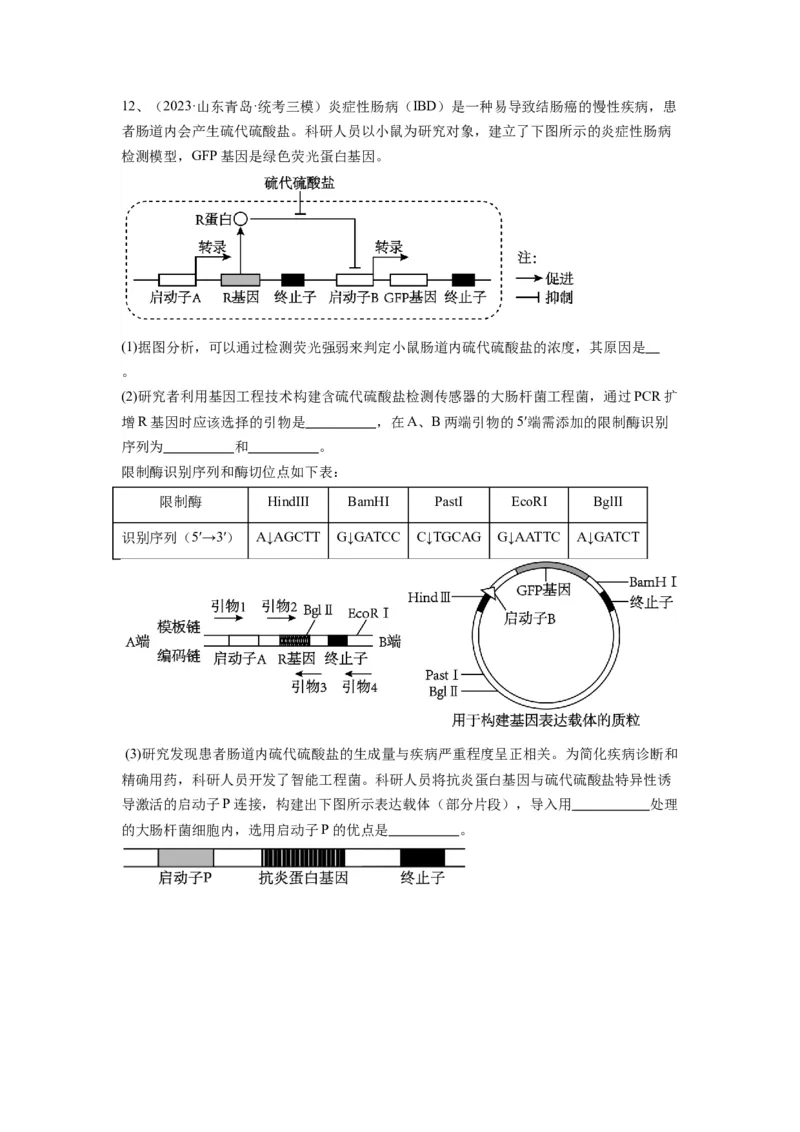 专题32基因工程（精练）（原卷版）_2024年新高考资料_1.2024一轮复习_备战2024年高考生物一轮复习串讲精练（新高考专用）