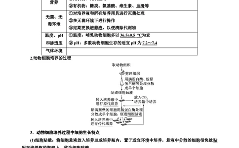专题41动物细胞工程（解析版）_2024年新高考资料_3.2024专项复习_备战2024年高考生物一轮复习重难点专项突破_专题41动物细胞工程-备战2024年高考生物一轮复习重难点专项突破