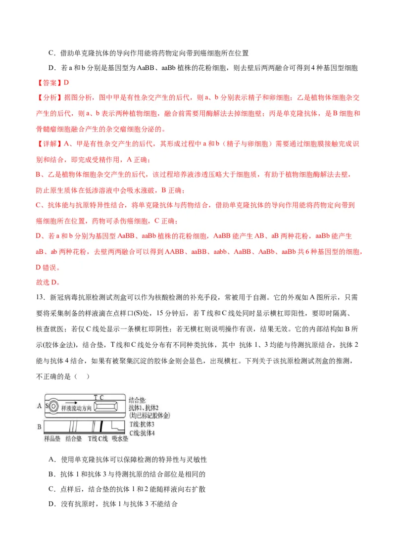 专题41动物细胞工程（解析版）_2024年新高考资料_3.2024专项复习_备战2024年高考生物一轮复习重难点专项突破_专题41动物细胞工程-备战2024年高考生物一轮复习重难点专项突破