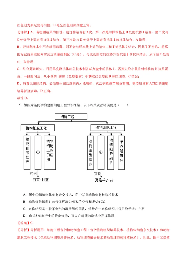 专题41动物细胞工程（解析版）_2024年新高考资料_3.2024专项复习_备战2024年高考生物一轮复习重难点专项突破_专题41动物细胞工程-备战2024年高考生物一轮复习重难点专项突破