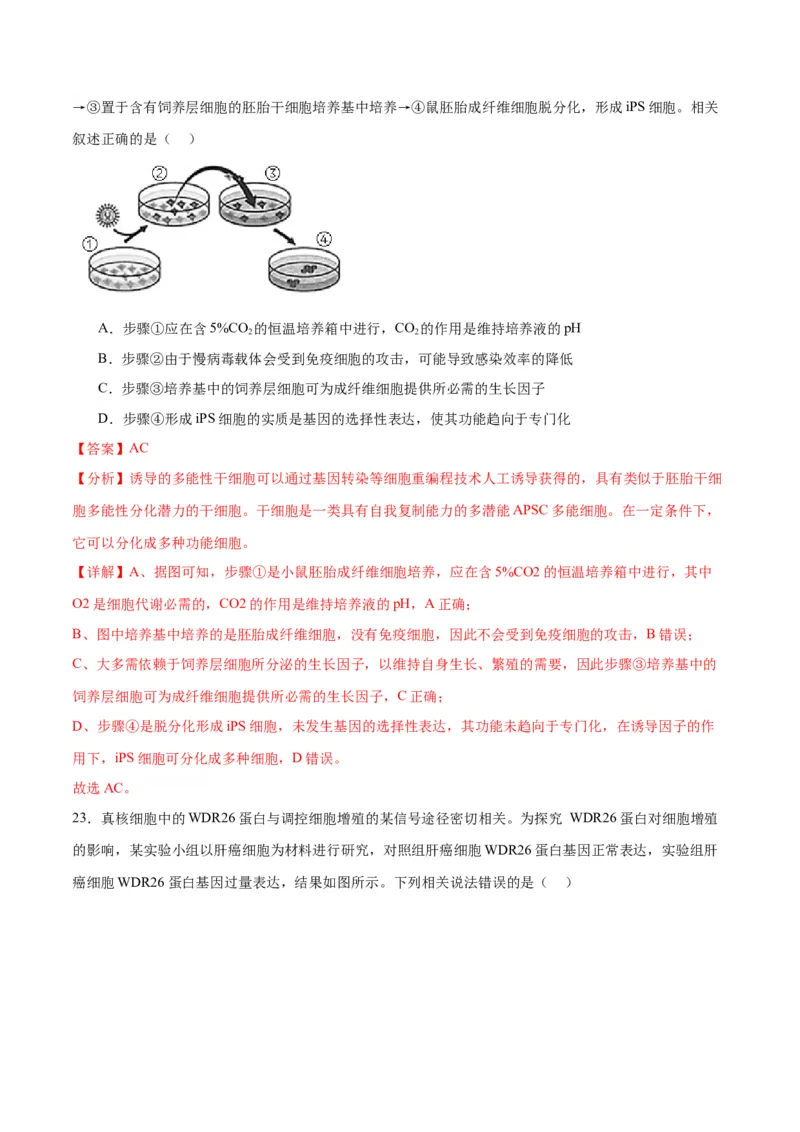 专题41动物细胞工程（解析版）_2024年新高考资料_3.2024专项复习_备战2024年高考生物一轮复习重难点专项突破_专题41动物细胞工程-备战2024年高考生物一轮复习重难点专项突破