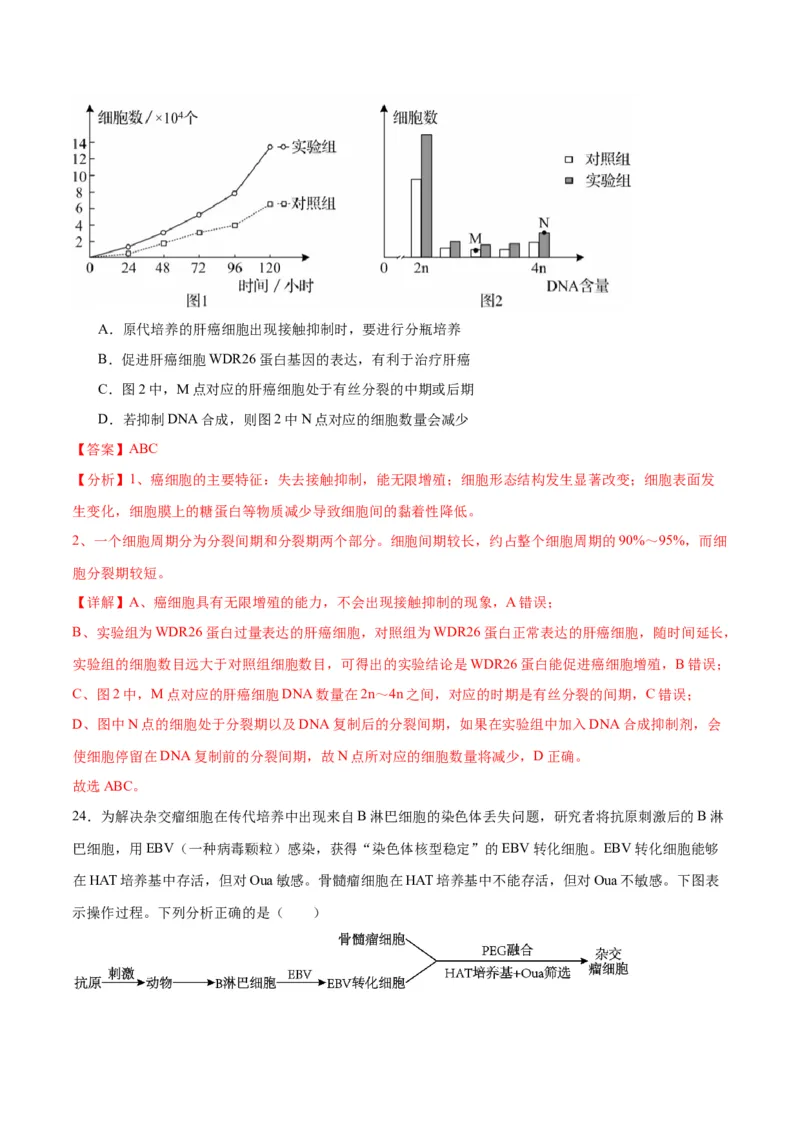 专题41动物细胞工程（解析版）_2024年新高考资料_3.2024专项复习_备战2024年高考生物一轮复习重难点专项突破_专题41动物细胞工程-备战2024年高考生物一轮复习重难点专项突破