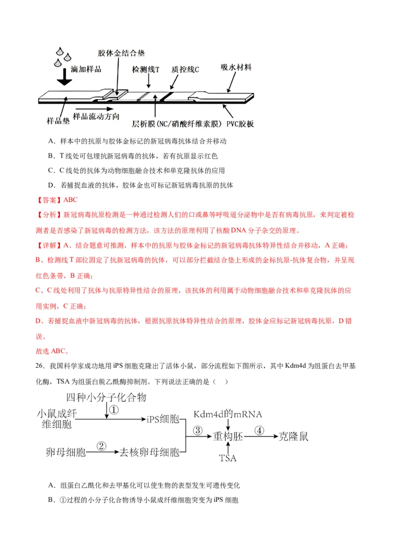 专题41动物细胞工程（解析版）_2024年新高考资料_3.2024专项复习_备战2024年高考生物一轮复习重难点专项突破_专题41动物细胞工程-备战2024年高考生物一轮复习重难点专项突破