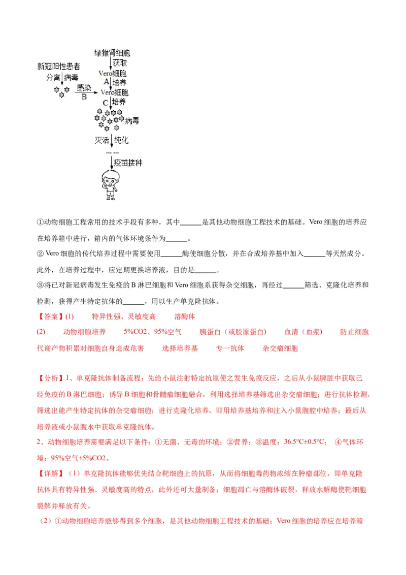 专题41动物细胞工程（解析版）_2024年新高考资料_3.2024专项复习_备战2024年高考生物一轮复习重难点专项突破_专题41动物细胞工程-备战2024年高考生物一轮复习重难点专项突破