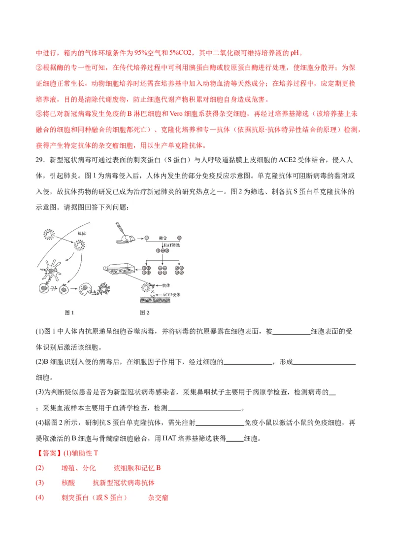 专题41动物细胞工程（解析版）_2024年新高考资料_3.2024专项复习_备战2024年高考生物一轮复习重难点专项突破_专题41动物细胞工程-备战2024年高考生物一轮复习重难点专项突破