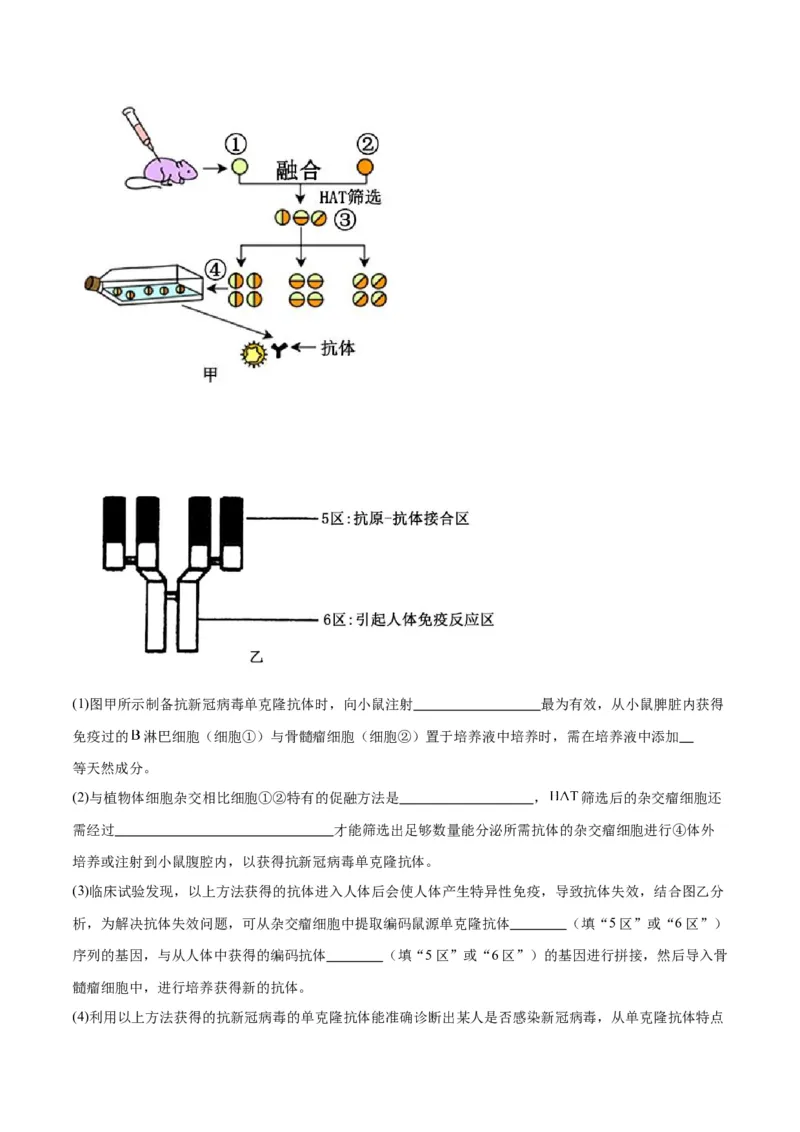 专题41动物细胞工程（解析版）_2024年新高考资料_3.2024专项复习_备战2024年高考生物一轮复习重难点专项突破_专题41动物细胞工程-备战2024年高考生物一轮复习重难点专项突破