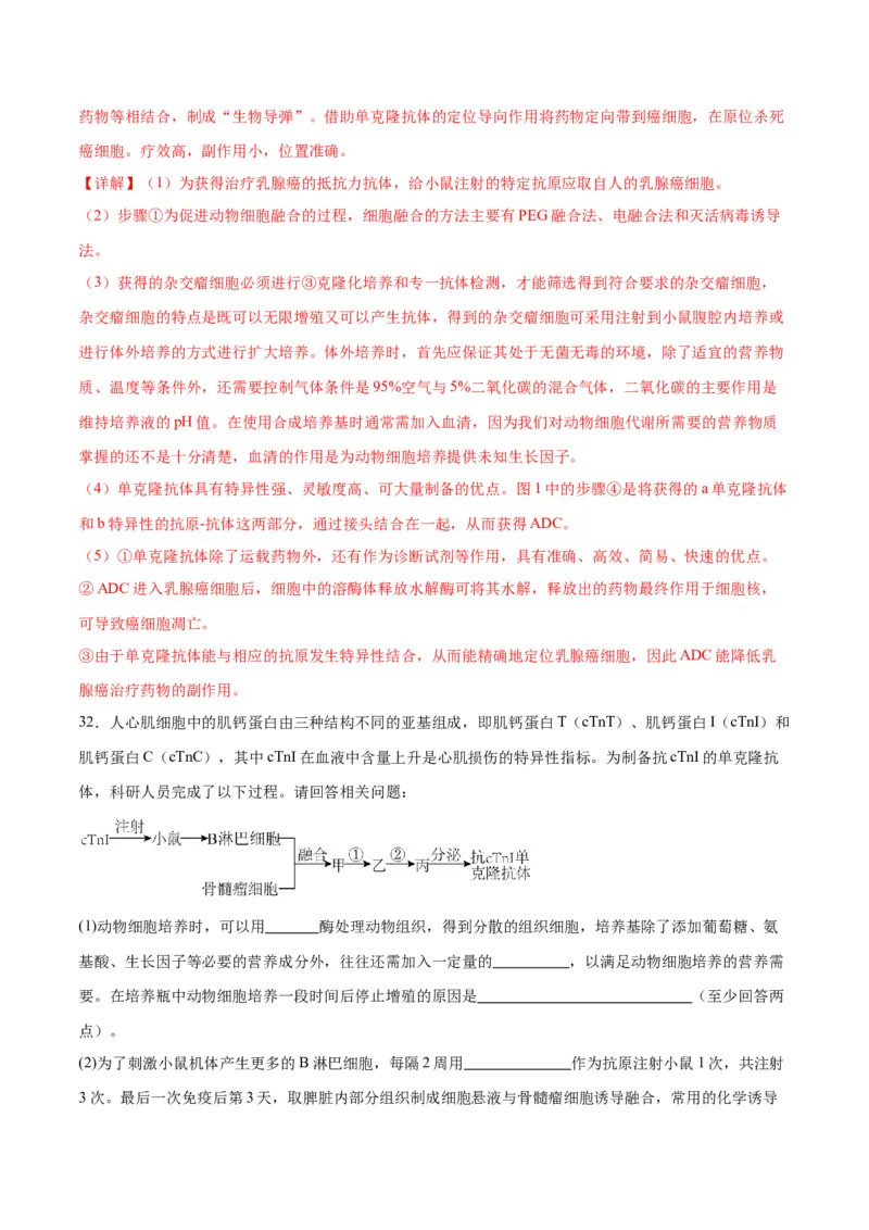 专题41动物细胞工程（解析版）_2024年新高考资料_3.2024专项复习_备战2024年高考生物一轮复习重难点专项突破_专题41动物细胞工程-备战2024年高考生物一轮复习重难点专项突破