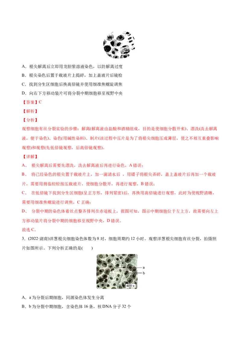 专题15实验与探究-2022年高考真题和模拟题生物分专题训练（教师版含解析）_2024年新高考资料_1.2024一轮复习_赠2022年高考生物真题与模拟题分类