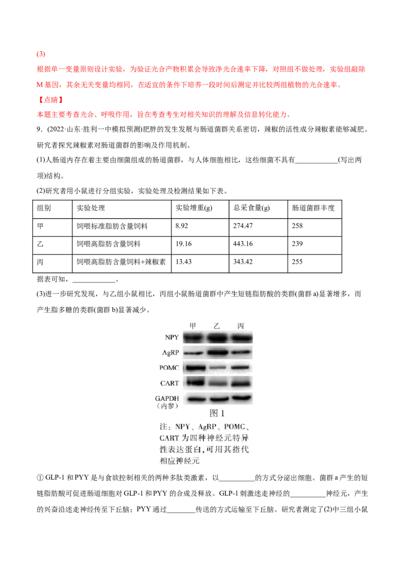 专题15实验与探究-2022年高考真题和模拟题生物分专题训练（教师版含解析）_2024年新高考资料_1.2024一轮复习_赠2022年高考生物真题与模拟题分类