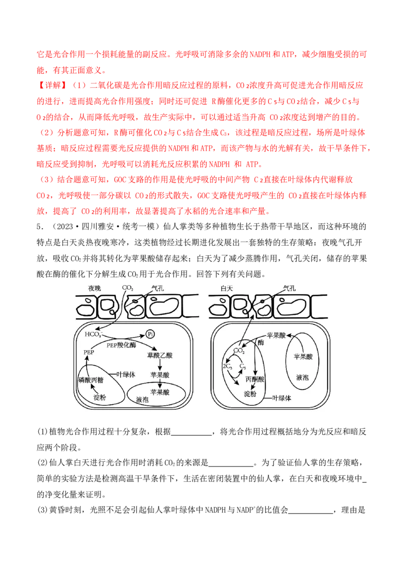 专题06细胞代谢（解析版）_2024年新高考资料_2.2024二轮复习_2024年高考生物二轮热点题型归纳与变式演练（新高考通用）