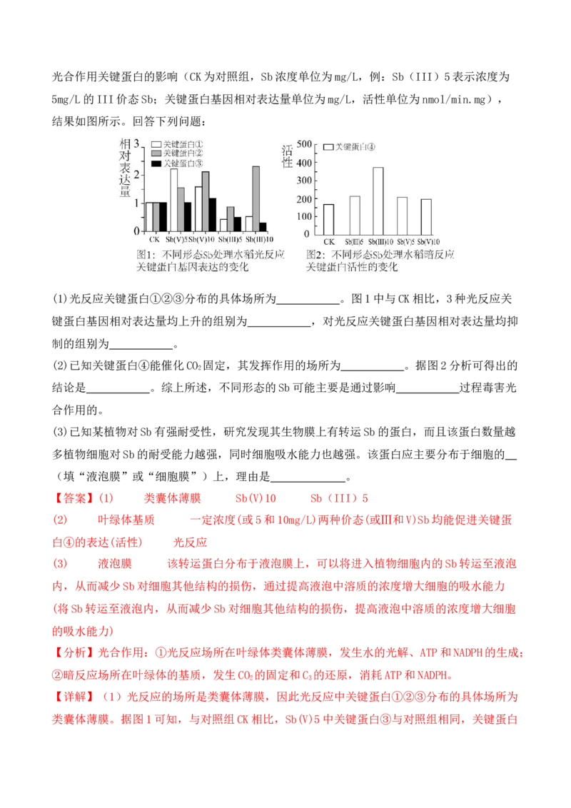 专题06细胞代谢（解析版）_2024年新高考资料_2.2024二轮复习_2024年高考生物二轮热点题型归纳与变式演练（新高考通用）