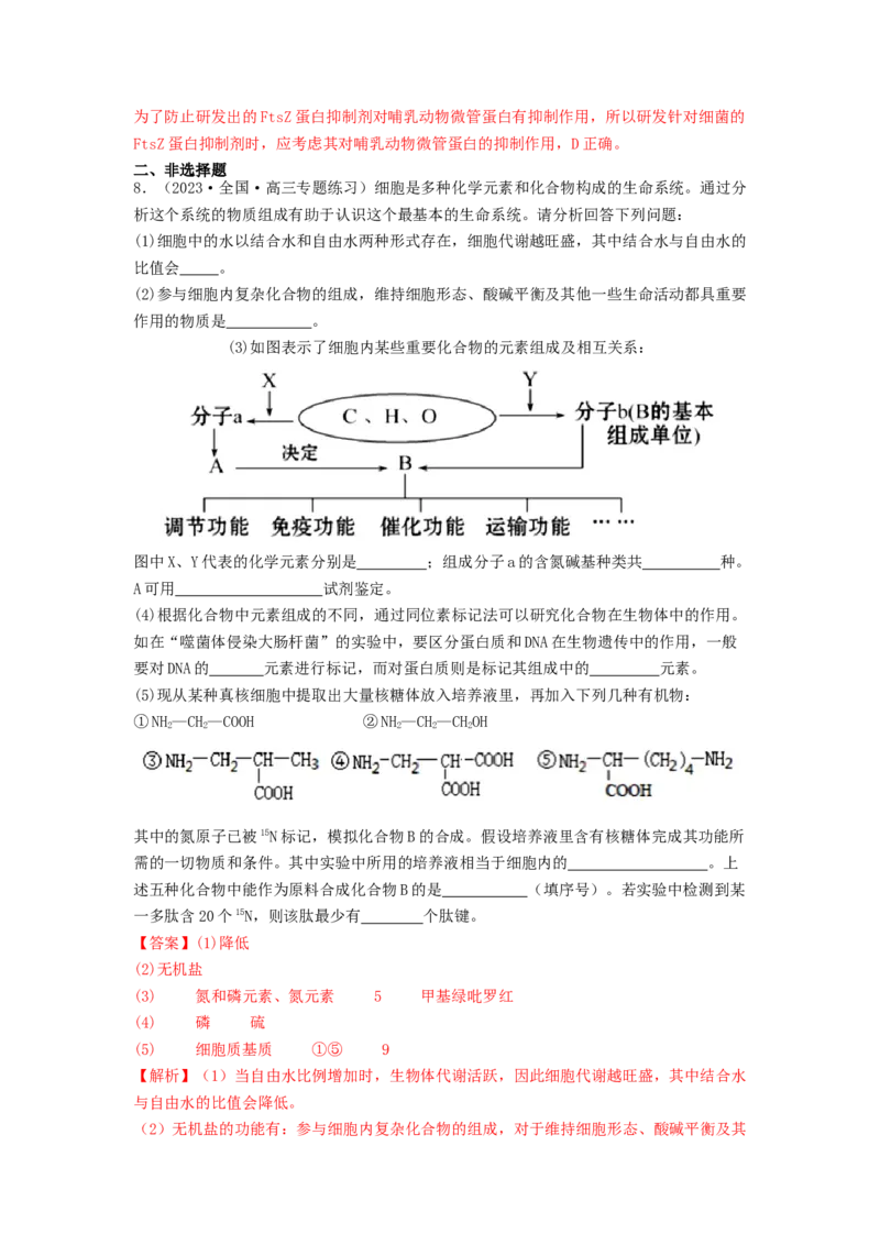 专题04核酸（解析版）_2024年新高考资料_1.2024一轮复习_备战2024年高考生物一轮复习抢分特训（全国通用）_专题04核酸-备战2024年高考生物一轮复习抢分特训（全国通用）