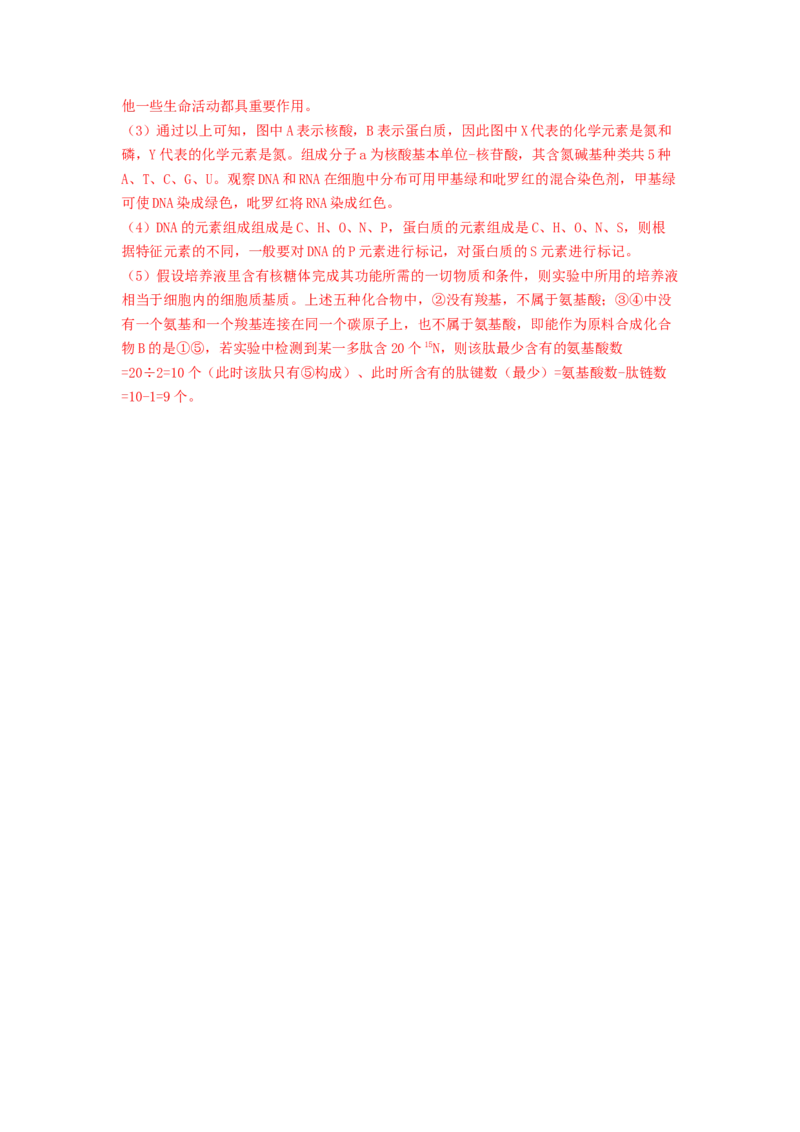 专题04核酸（解析版）_2024年新高考资料_1.2024一轮复习_备战2024年高考生物一轮复习抢分特训（全国通用）_专题04核酸-备战2024年高考生物一轮复习抢分特训（全国通用）