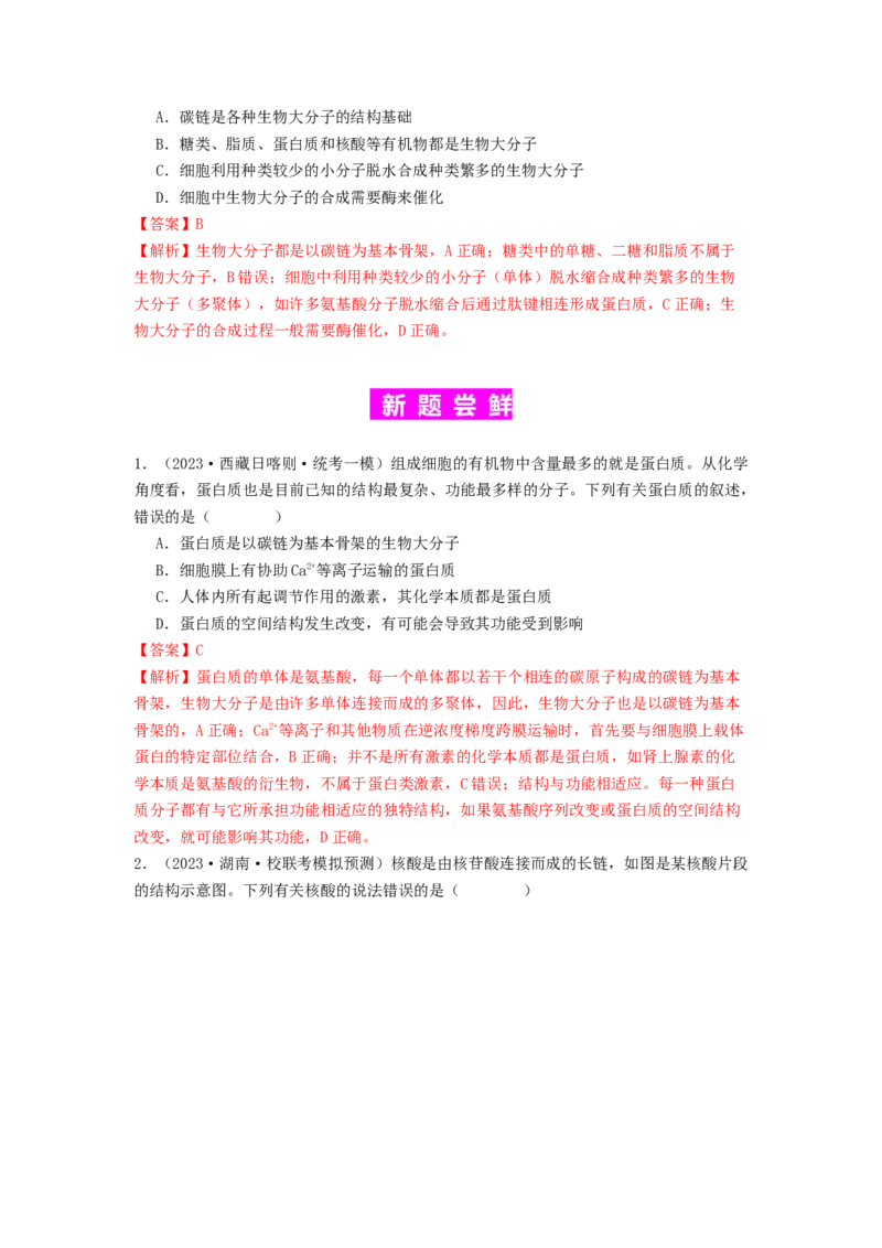 专题04核酸（解析版）_2024年新高考资料_1.2024一轮复习_备战2024年高考生物一轮复习抢分特训（全国通用）_专题04核酸-备战2024年高考生物一轮复习抢分特训（全国通用）