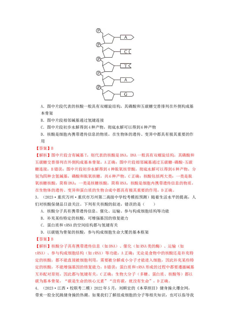 专题04核酸（解析版）_2024年新高考资料_1.2024一轮复习_备战2024年高考生物一轮复习抢分特训（全国通用）_专题04核酸-备战2024年高考生物一轮复习抢分特训（全国通用）