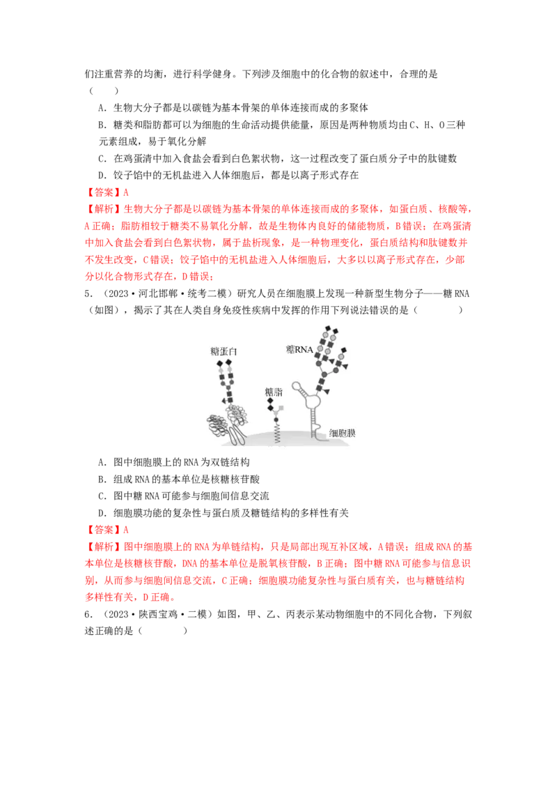 专题04核酸（解析版）_2024年新高考资料_1.2024一轮复习_备战2024年高考生物一轮复习抢分特训（全国通用）_专题04核酸-备战2024年高考生物一轮复习抢分特训（全国通用）