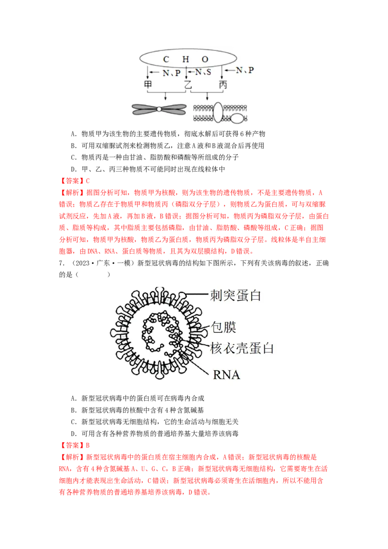 专题04核酸（解析版）_2024年新高考资料_1.2024一轮复习_备战2024年高考生物一轮复习抢分特训（全国通用）_专题04核酸-备战2024年高考生物一轮复习抢分特训（全国通用）