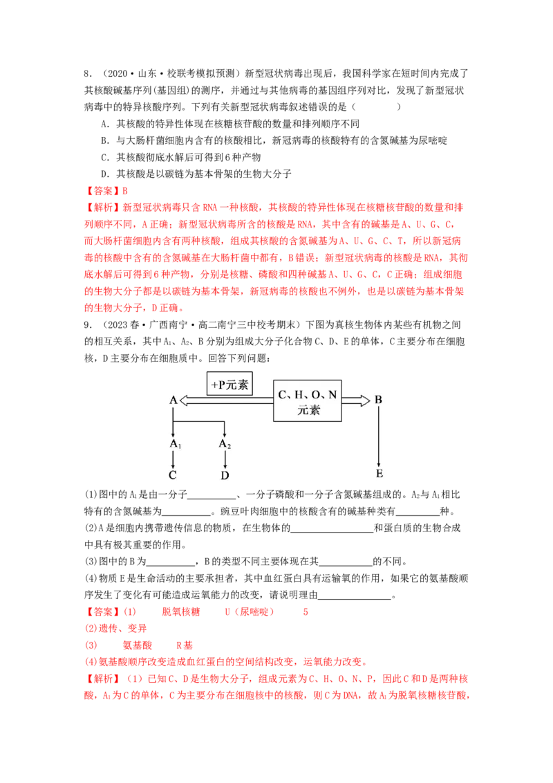 专题04核酸（解析版）_2024年新高考资料_1.2024一轮复习_备战2024年高考生物一轮复习抢分特训（全国通用）_专题04核酸-备战2024年高考生物一轮复习抢分特训（全国通用）