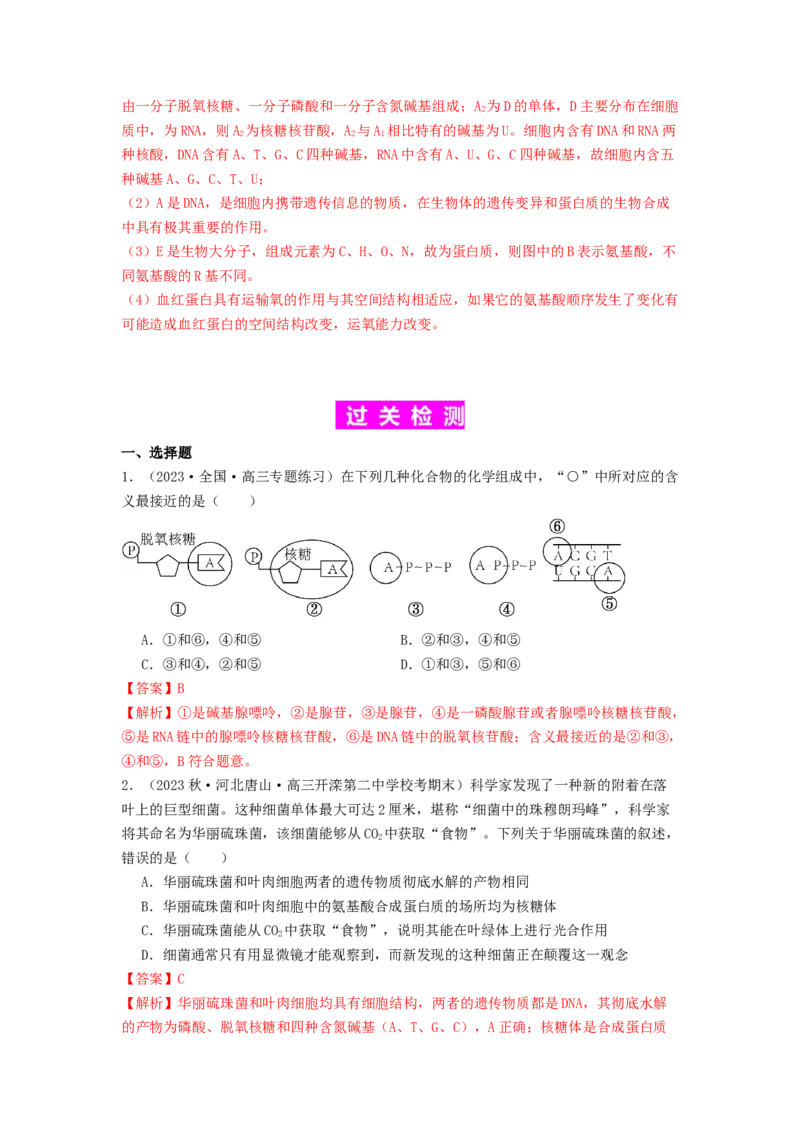 专题04核酸（解析版）_2024年新高考资料_1.2024一轮复习_备战2024年高考生物一轮复习抢分特训（全国通用）_专题04核酸-备战2024年高考生物一轮复习抢分特训（全国通用）