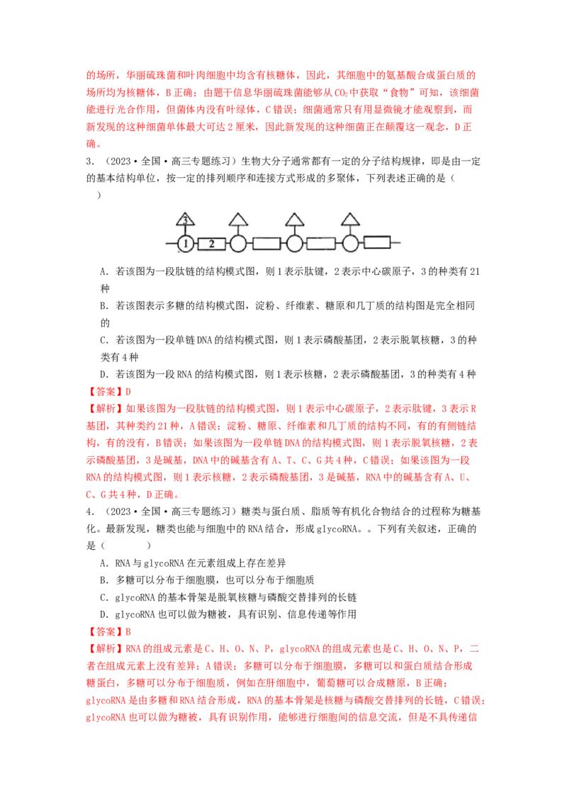 专题04核酸（解析版）_2024年新高考资料_1.2024一轮复习_备战2024年高考生物一轮复习抢分特训（全国通用）_专题04核酸-备战2024年高考生物一轮复习抢分特训（全国通用）