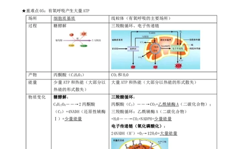 专题03光合作用及呼吸作用（解析版）_2024年新高考资料_3.2024专项复习_2024年高考生物热点&middot;重点&middot;难点专练（上海专用）