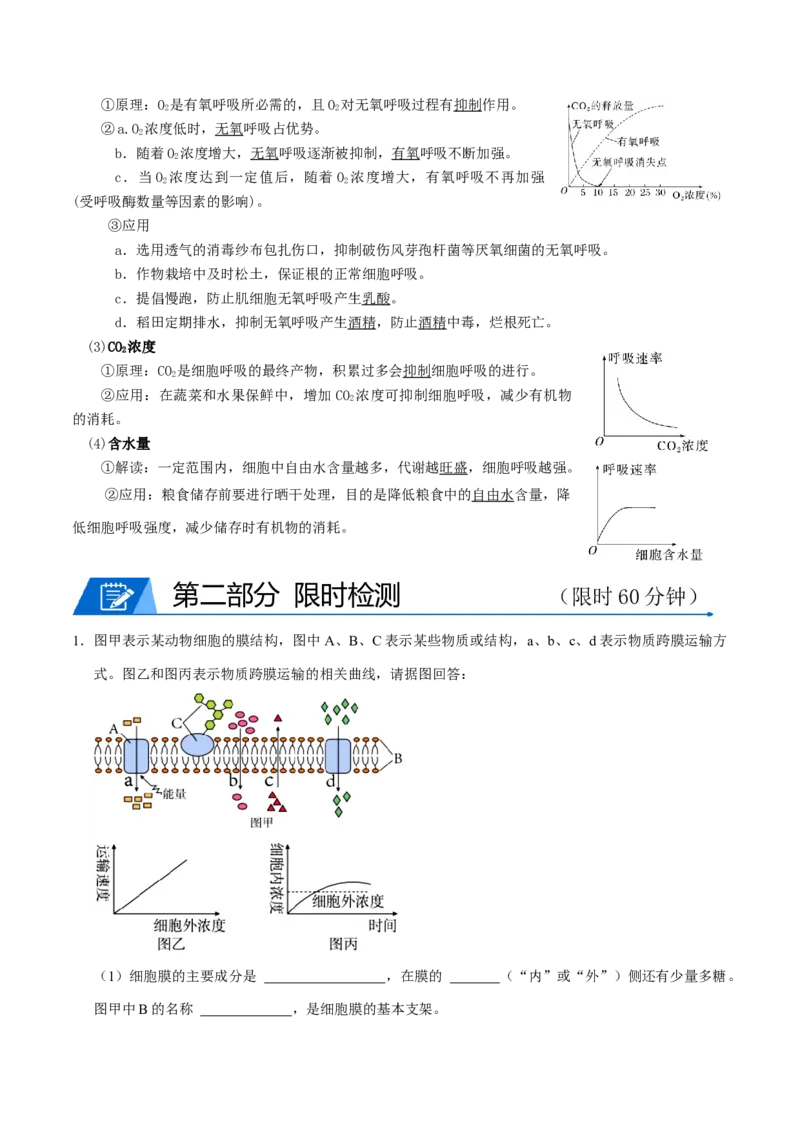 专题03光合作用及呼吸作用（解析版）_2024年新高考资料_3.2024专项复习_2024年高考生物热点&middot;重点&middot;难点专练（上海专用）
