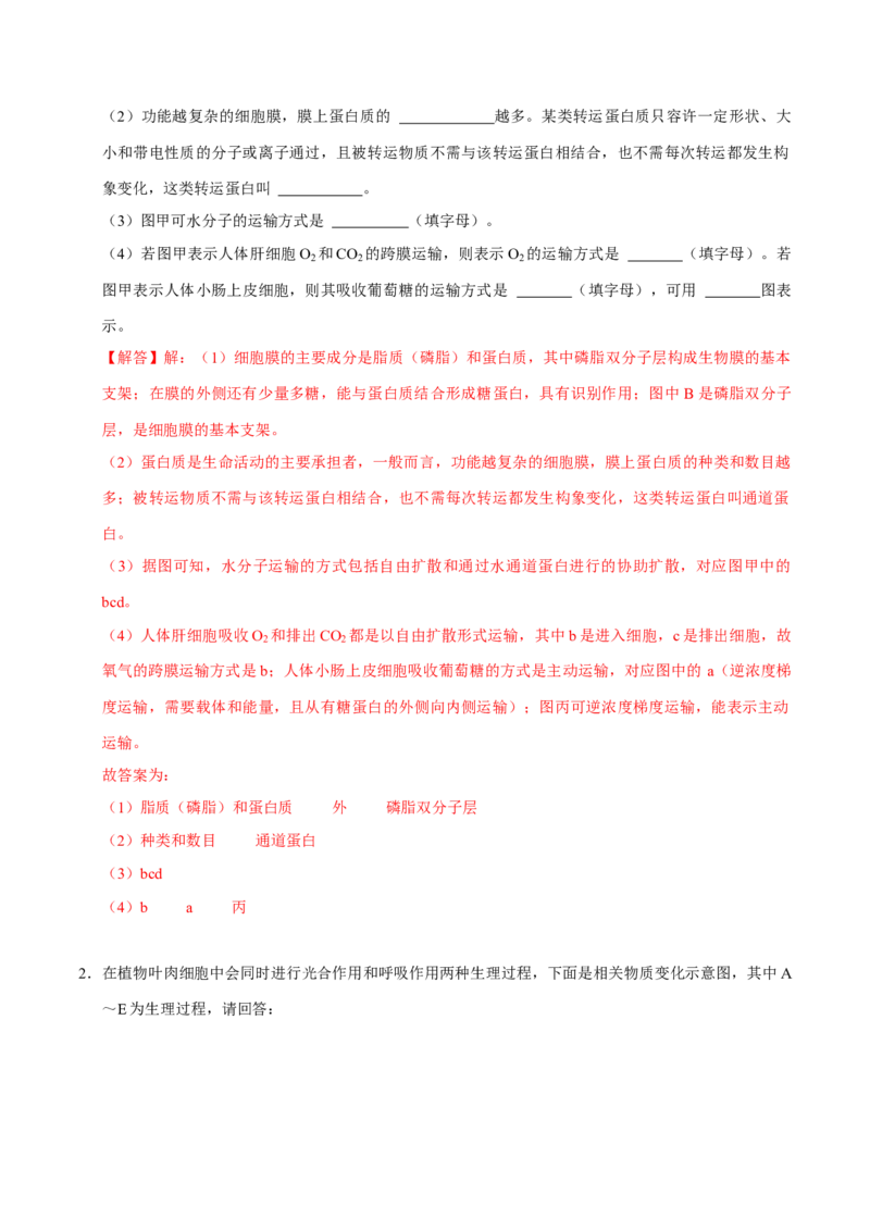 专题03光合作用及呼吸作用（解析版）_2024年新高考资料_3.2024专项复习_2024年高考生物热点&middot;重点&middot;难点专练（上海专用）