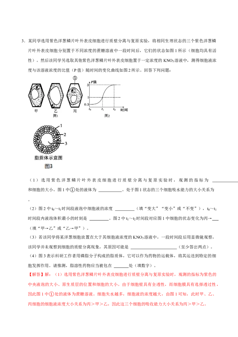 专题03光合作用及呼吸作用（解析版）_2024年新高考资料_3.2024专项复习_2024年高考生物热点&middot;重点&middot;难点专练（上海专用）