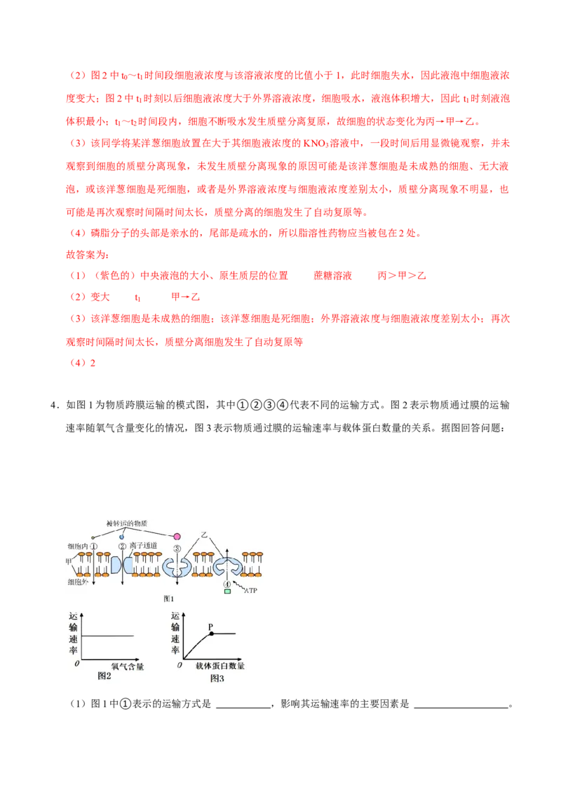 专题03光合作用及呼吸作用（解析版）_2024年新高考资料_3.2024专项复习_2024年高考生物热点&middot;重点&middot;难点专练（上海专用）