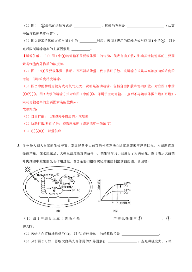 专题03光合作用及呼吸作用（解析版）_2024年新高考资料_3.2024专项复习_2024年高考生物热点&middot;重点&middot;难点专练（上海专用）