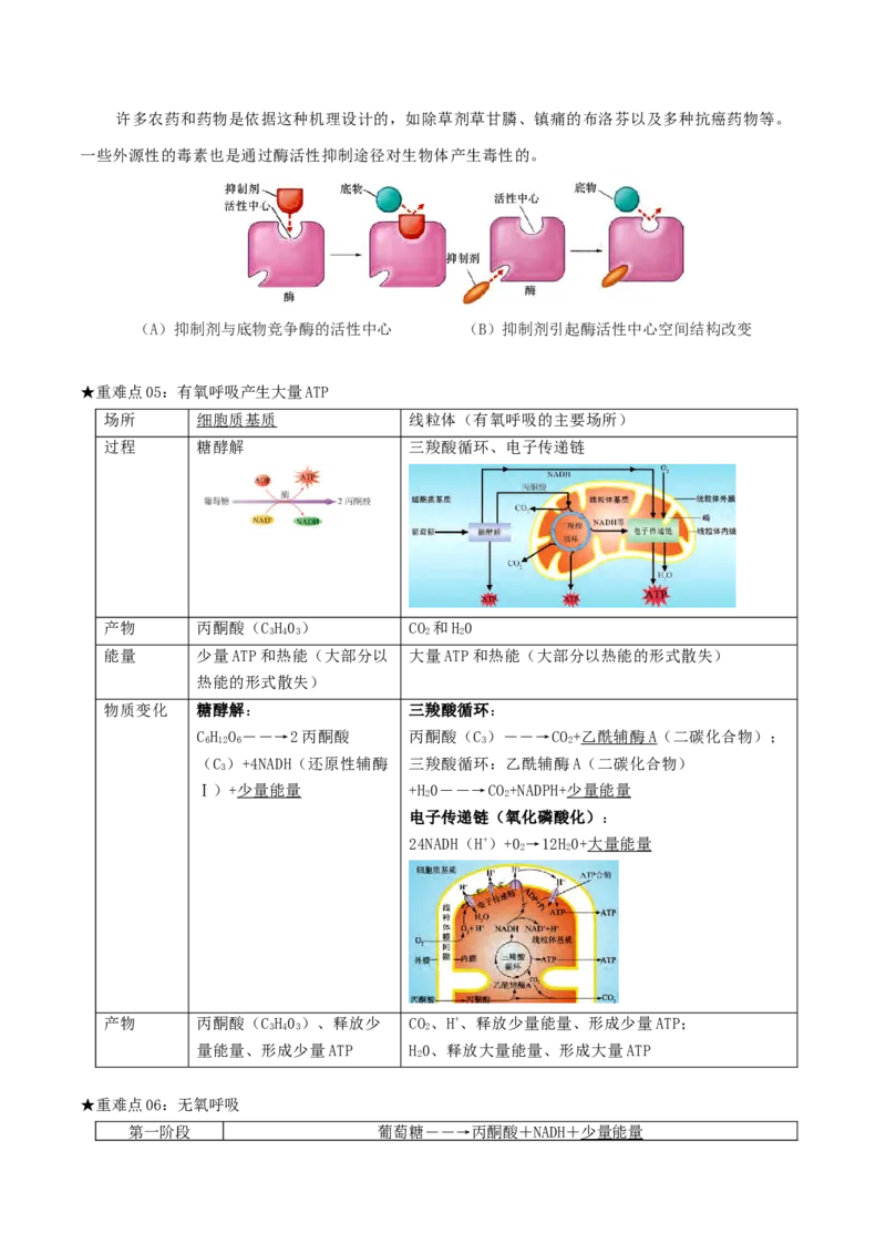 专题03光合作用及呼吸作用（解析版）_2024年新高考资料_3.2024专项复习_2024年高考生物热点&middot;重点&middot;难点专练（上海专用）