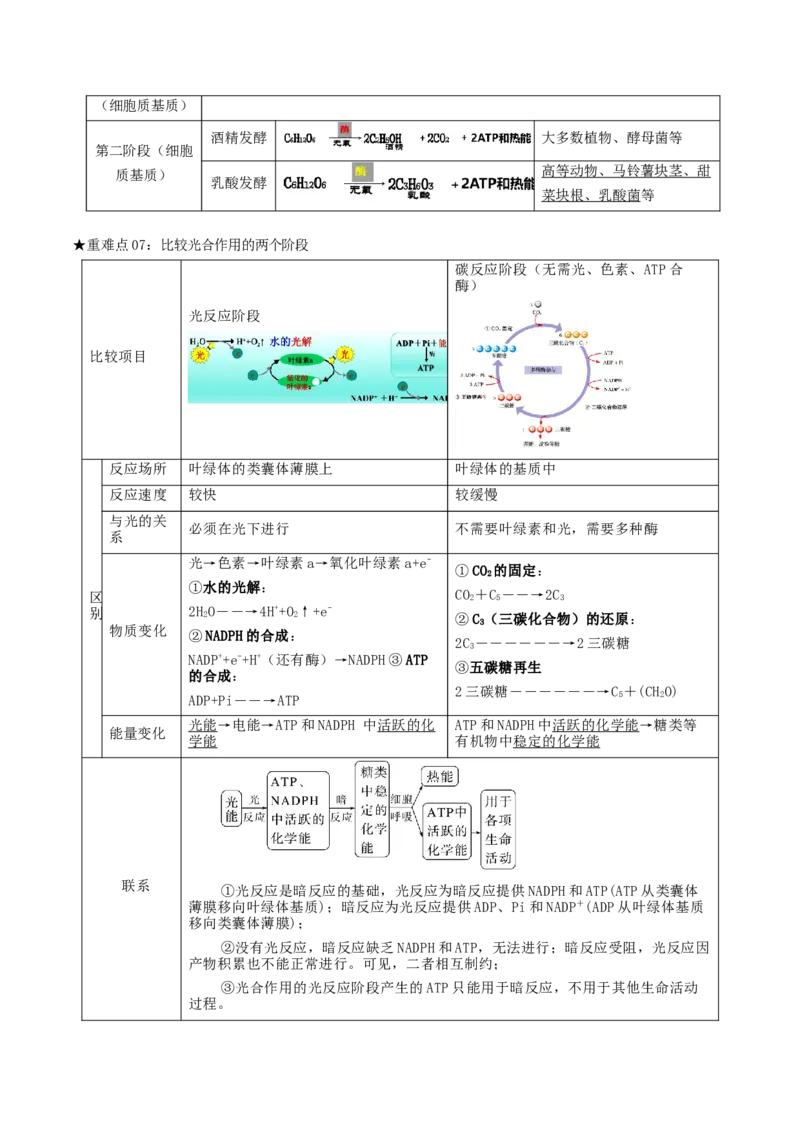 专题03光合作用及呼吸作用（解析版）_2024年新高考资料_3.2024专项复习_2024年高考生物热点&middot;重点&middot;难点专练（上海专用）