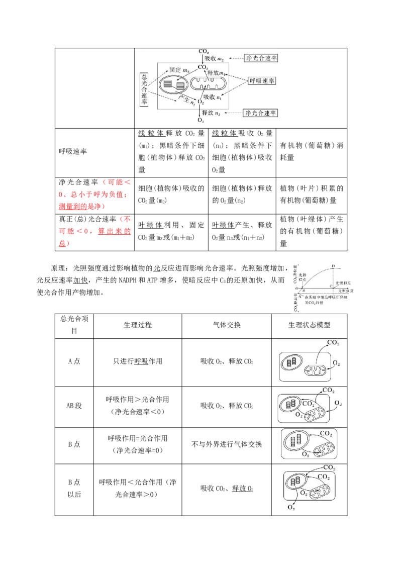 专题03光合作用及呼吸作用（解析版）_2024年新高考资料_3.2024专项复习_2024年高考生物热点&middot;重点&middot;难点专练（上海专用）
