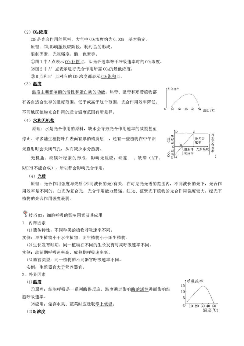 专题03光合作用及呼吸作用（解析版）_2024年新高考资料_3.2024专项复习_2024年高考生物热点&middot;重点&middot;难点专练（上海专用）