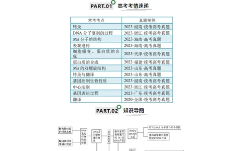 宝典08遗传的分子基础（解析版）_2024年新高考资料_1.2024一轮复习_2024年高考生物一轮复习知识清单