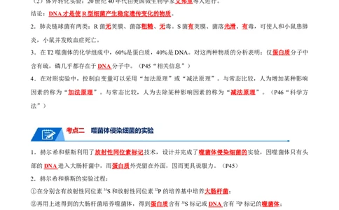 宝典08遗传的分子基础（解析版）_2024年新高考资料_1.2024一轮复习_2024年高考生物一轮复习知识清单