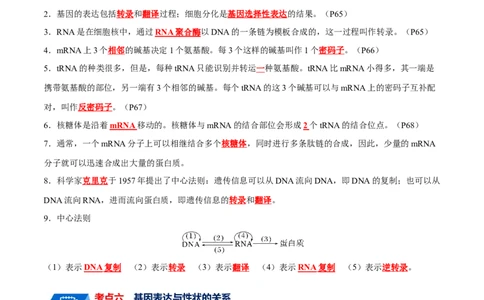 宝典08遗传的分子基础（解析版）_2024年新高考资料_1.2024一轮复习_2024年高考生物一轮复习知识清单