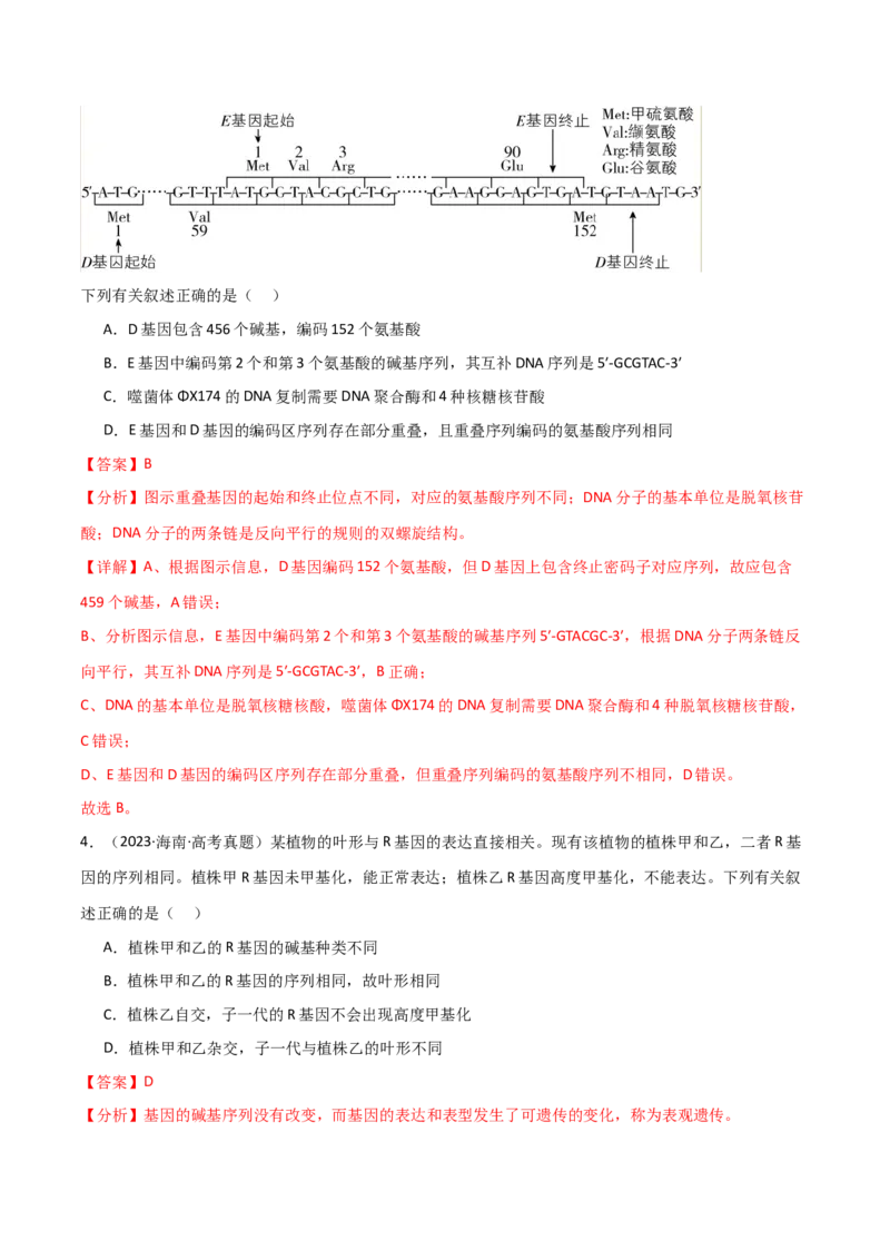 宝典08遗传的分子基础（解析版）_2024年新高考资料_1.2024一轮复习_2024年高考生物一轮复习知识清单