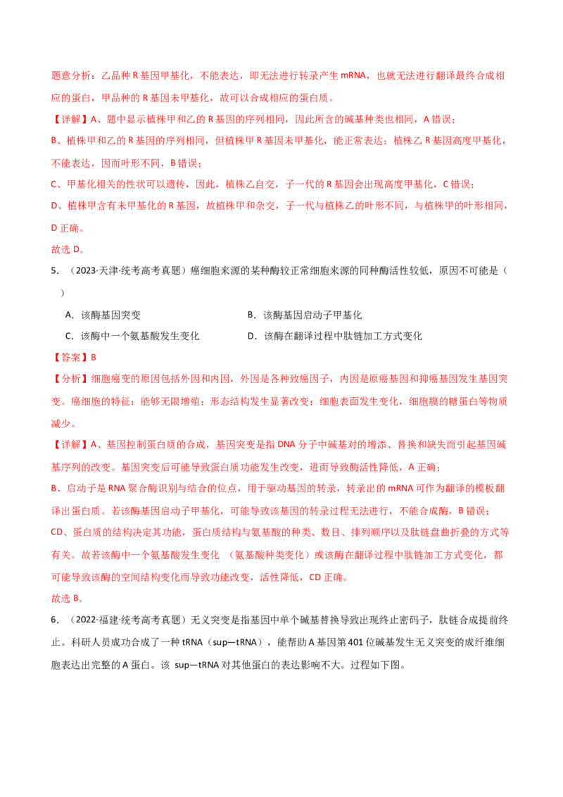 宝典08遗传的分子基础（解析版）_2024年新高考资料_1.2024一轮复习_2024年高考生物一轮复习知识清单