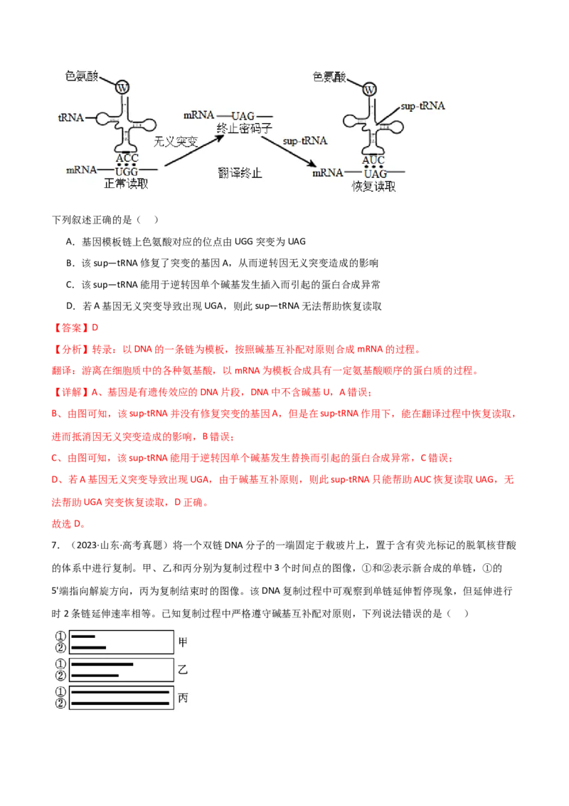 宝典08遗传的分子基础（解析版）_2024年新高考资料_1.2024一轮复习_2024年高考生物一轮复习知识清单