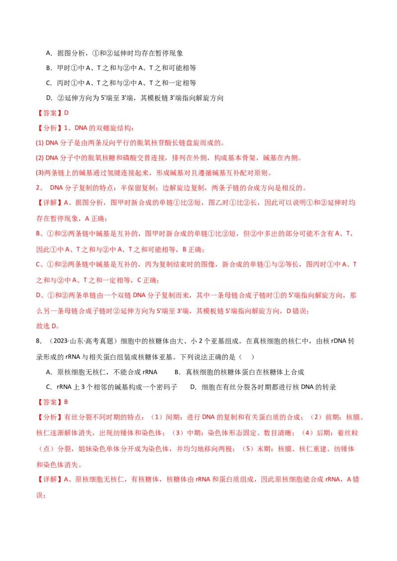 宝典08遗传的分子基础（解析版）_2024年新高考资料_1.2024一轮复习_2024年高考生物一轮复习知识清单