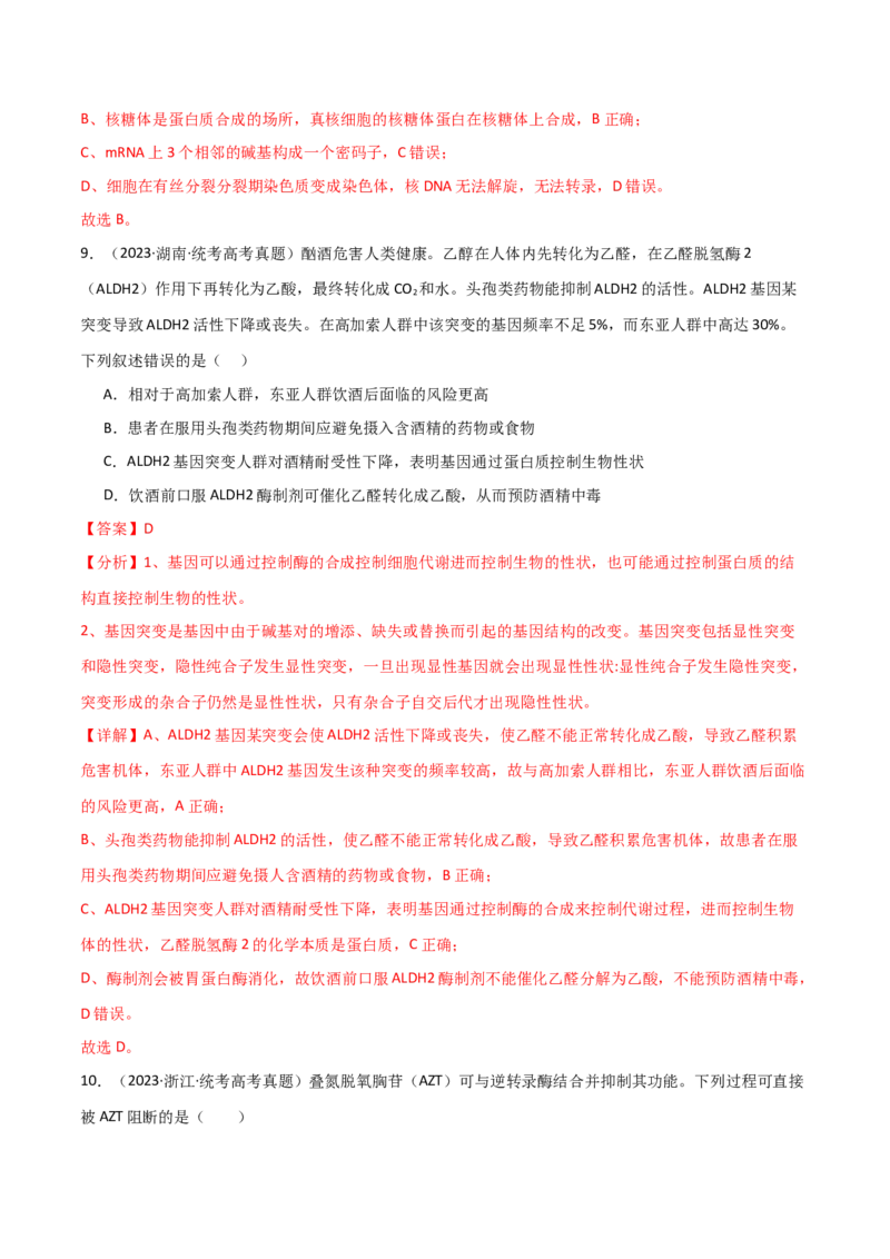 宝典08遗传的分子基础（解析版）_2024年新高考资料_1.2024一轮复习_2024年高考生物一轮复习知识清单