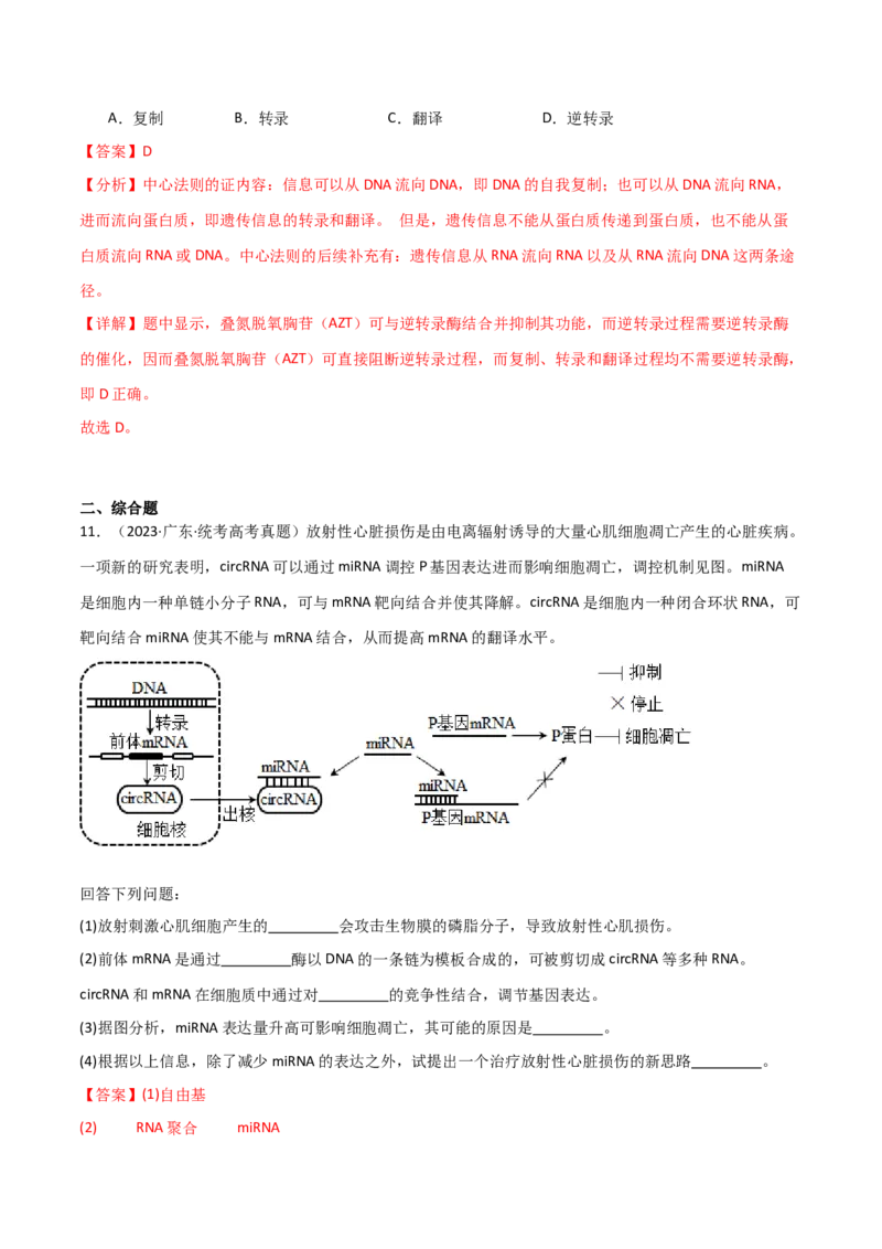 宝典08遗传的分子基础（解析版）_2024年新高考资料_1.2024一轮复习_2024年高考生物一轮复习知识清单