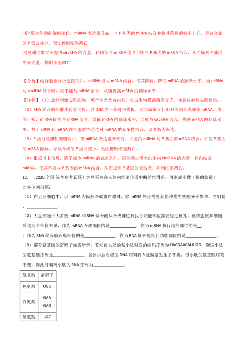 宝典08遗传的分子基础（解析版）_2024年新高考资料_1.2024一轮复习_2024年高考生物一轮复习知识清单