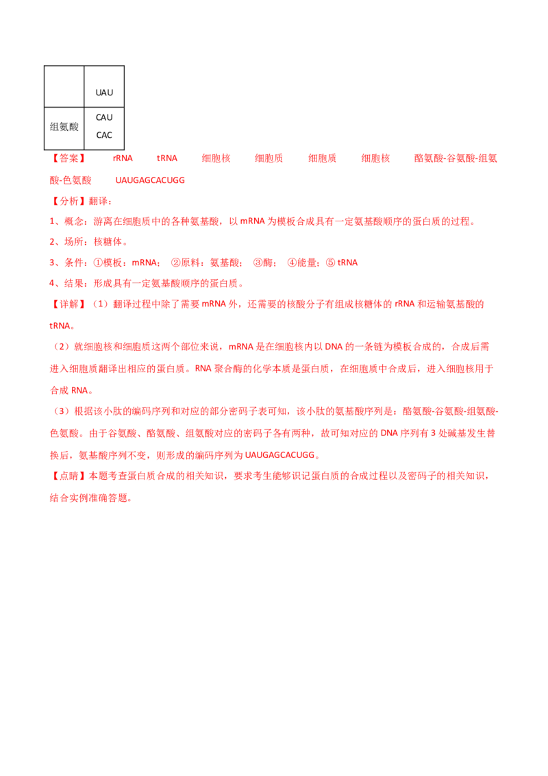 宝典08遗传的分子基础（解析版）_2024年新高考资料_1.2024一轮复习_2024年高考生物一轮复习知识清单