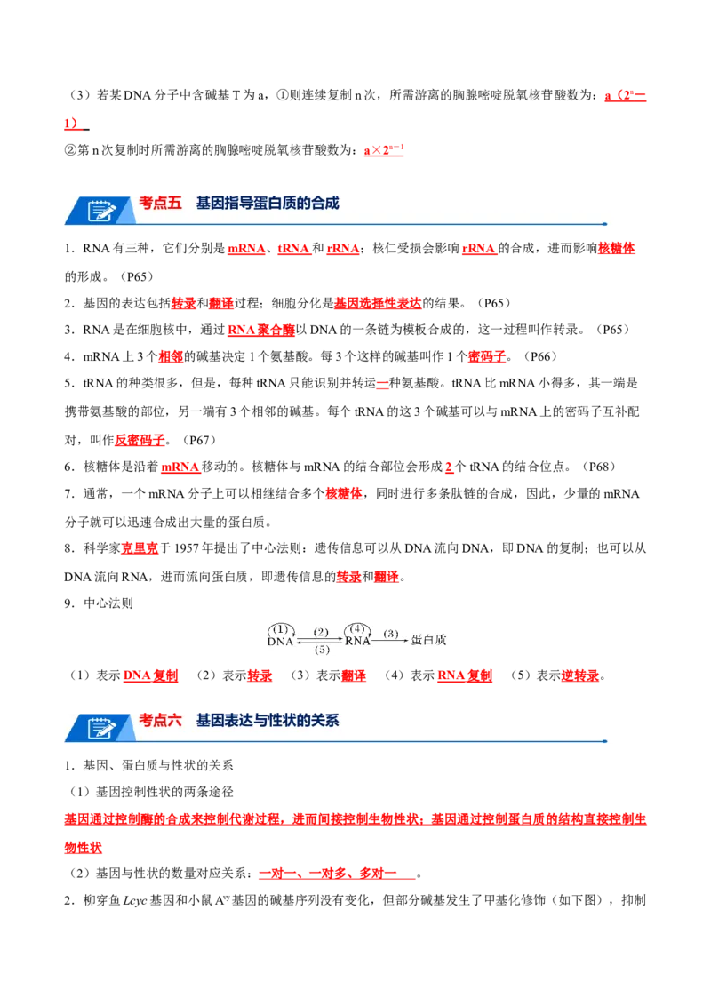 宝典08遗传的分子基础（解析版）_2024年新高考资料_1.2024一轮复习_2024年高考生物一轮复习知识清单