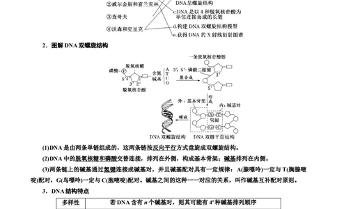 专题21DNA分子的结构、复制与基因的本质（原卷版)_2024年新高考资料_3.2024专项复习_备战2024年高考生物一轮复习重难点专项突破