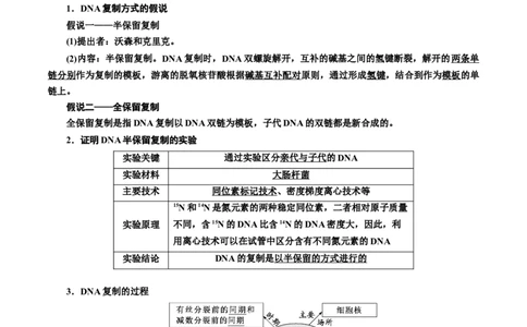 专题21DNA分子的结构、复制与基因的本质（原卷版)_2024年新高考资料_3.2024专项复习_备战2024年高考生物一轮复习重难点专项突破