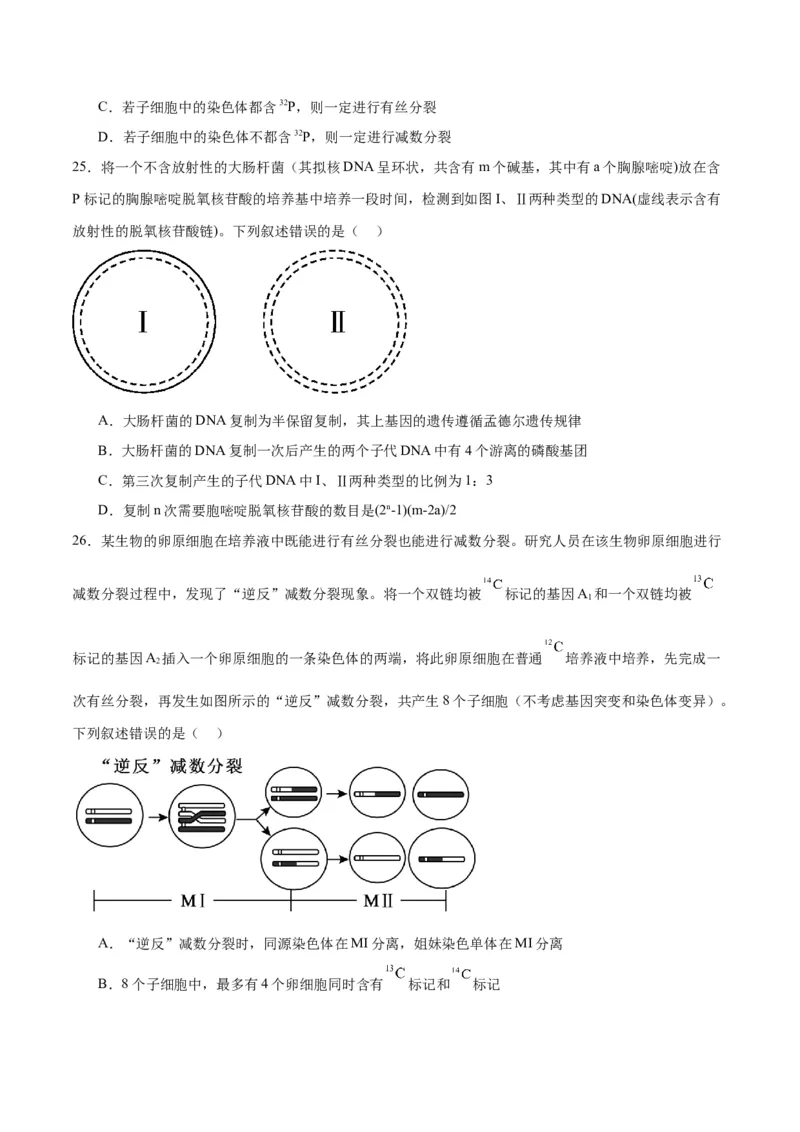 专题21DNA分子的结构、复制与基因的本质（原卷版)_2024年新高考资料_3.2024专项复习_备战2024年高考生物一轮复习重难点专项突破